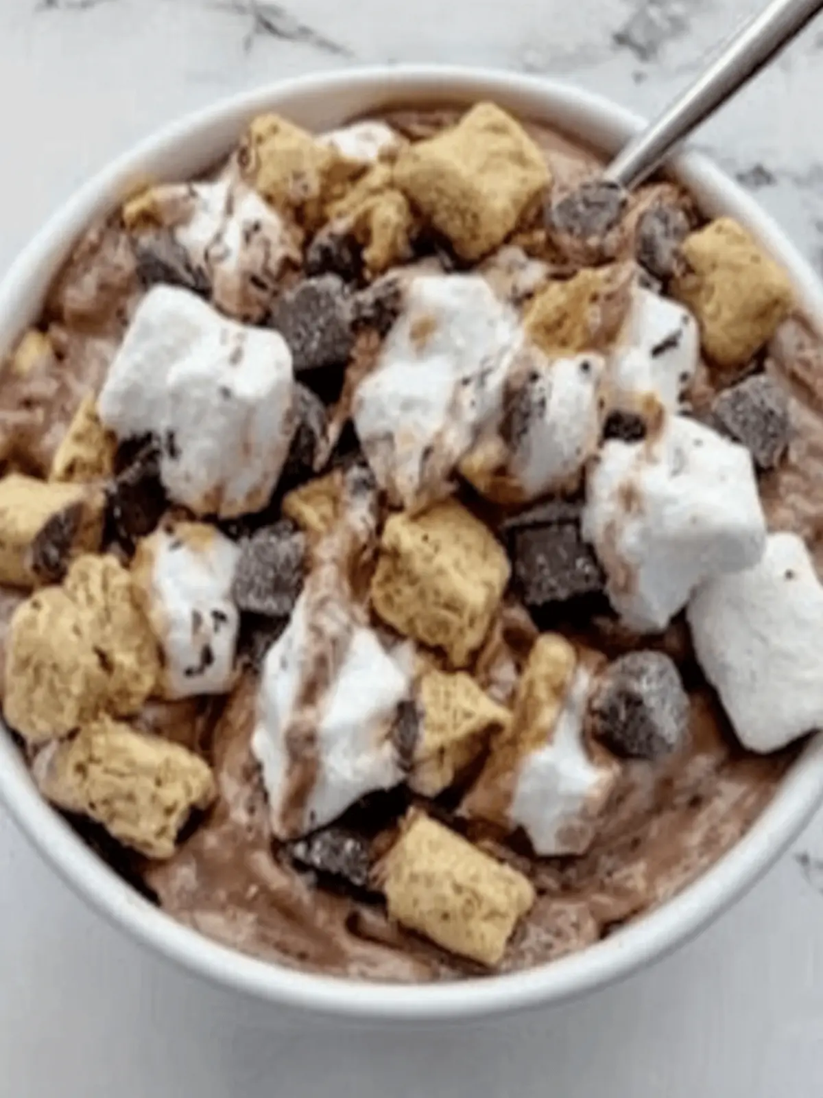 Double Chocolate Protein S’mores Bowl